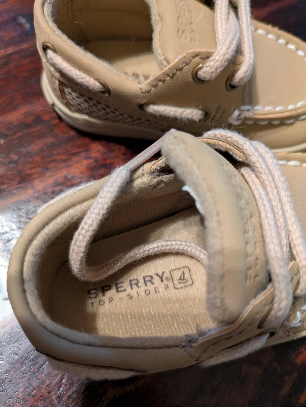 Sperry Intrepid Leather Shoe 1m